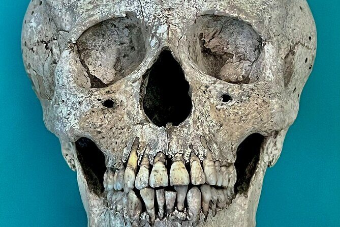 Cancun gems: Mayan Museum, Beach watching, Local Market, & Lunch - Authentic Experiences and Customer Praise