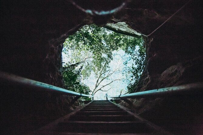 Cancun Guided Sightseeing with Taco Lunch & Cenote Experience - Who Will Enjoy This Tour?