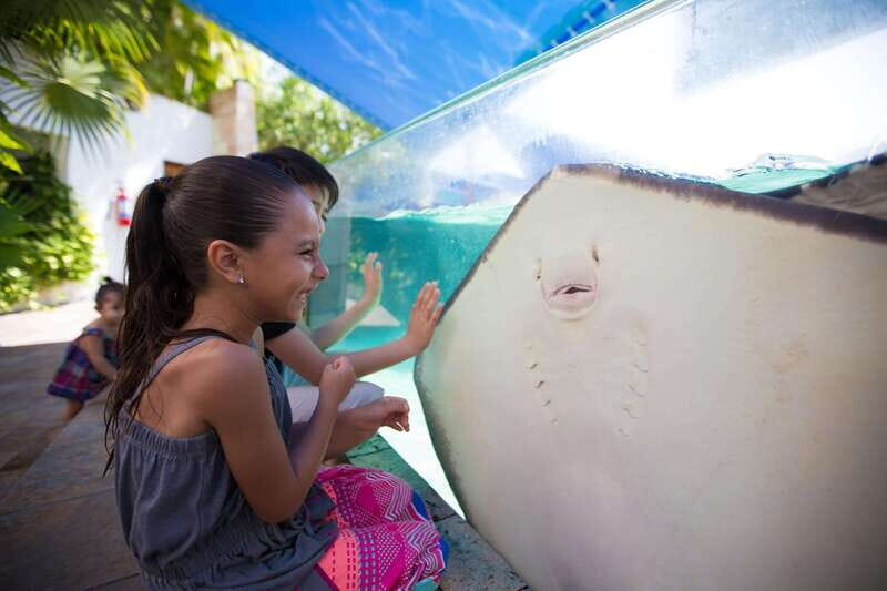 Cancún Interactive Aquarium Admission + Dolphin Presentation - Who Will Love This Experience?