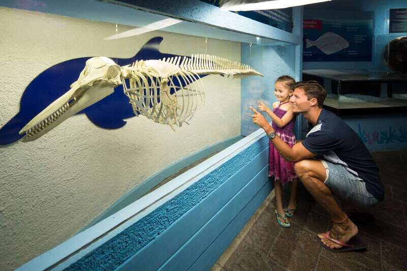Cancún: Interactive Aquarium Admission - Key Points