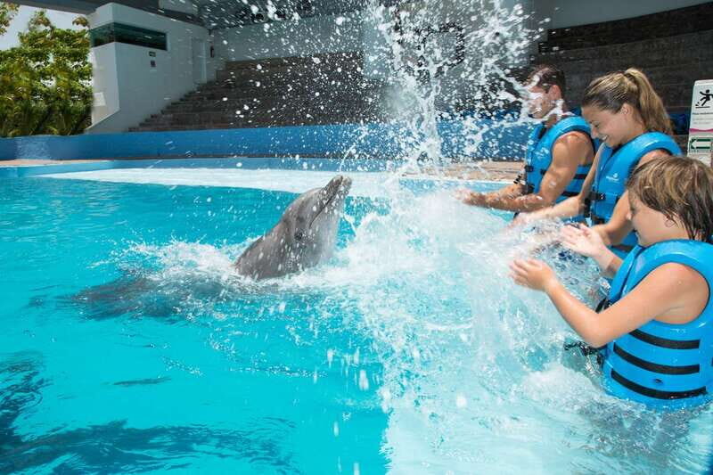 Cancun: Interactive Aquarium - Swim with dolphins Premium - Step-by-Step Breakdown of the Itinerary