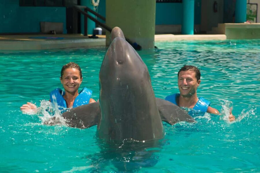 Cancun: Interactive Aquarium Ticket and Swim with Dolphins - Final Thoughts