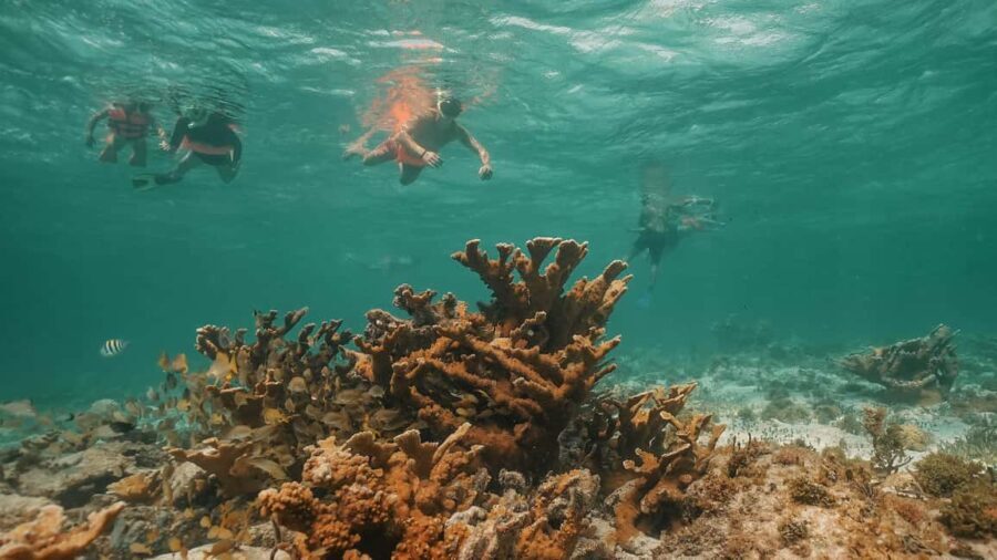 Cancun: Isla Mujeres Adults Only Party Catamaran with Drinks - Authentic Experiences and Traveler Comments