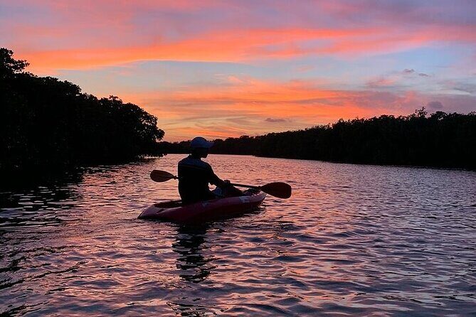 Cancun Lagoon Sunset Kayak Adventure - Who Will Enjoy This Tour?