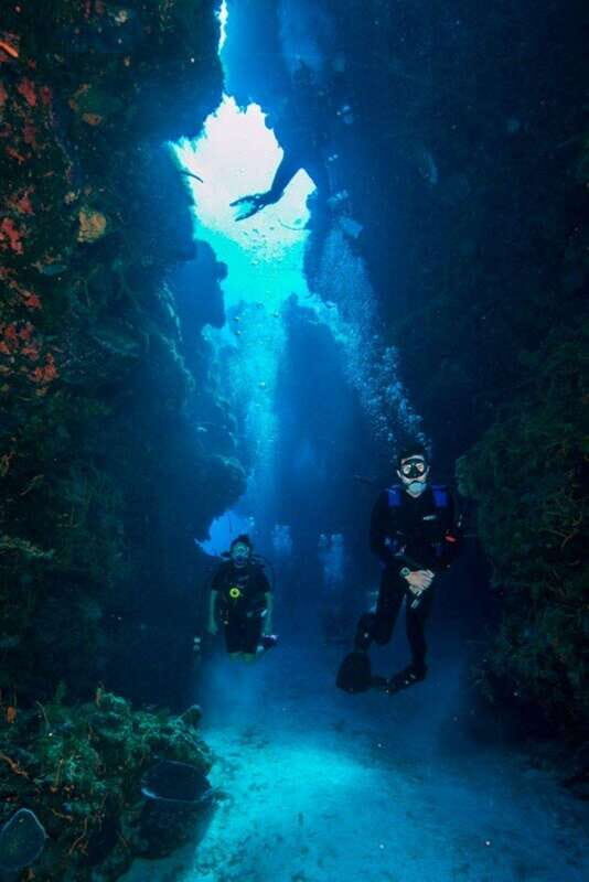 Cancun: Lionfish Expedition Package - What Makes This Tour Stand Out