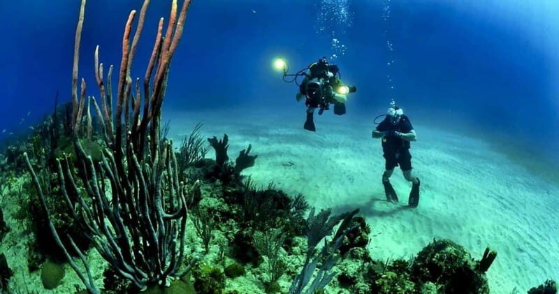 Cancun or Isla Mujeres Reef Diving for Beginners - Whats Included and How It Adds Up