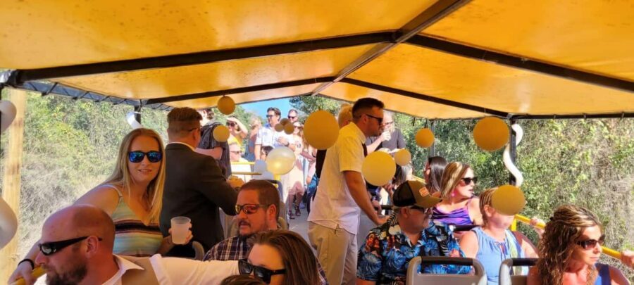 Cancun: Private 3 Hour Party Bus Experience - Overview of the Experience