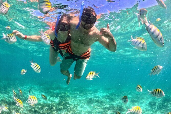 Cancún Private Catamaran to Isla Mujeres with Snorkeling & Lunch - The Authentic Moments: What Travelers are Saying