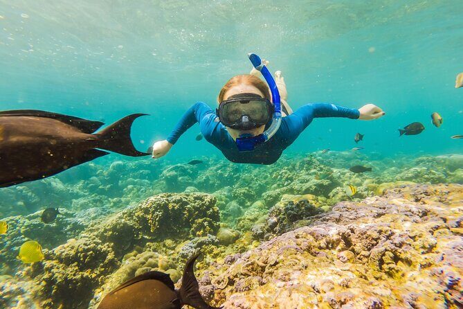 Cancun: Snorkeling Adventure at Puerto Morelos Reef - What Past Travelers Say