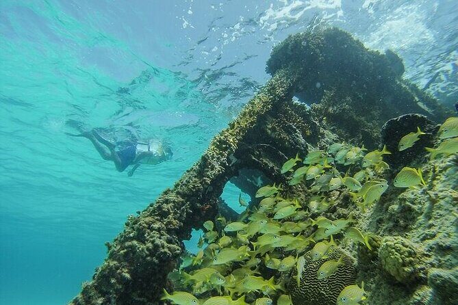 Cancun Snorkeling Adventure: Turtles, Reefs & Underwater Wonders - Practical Tips and Insights