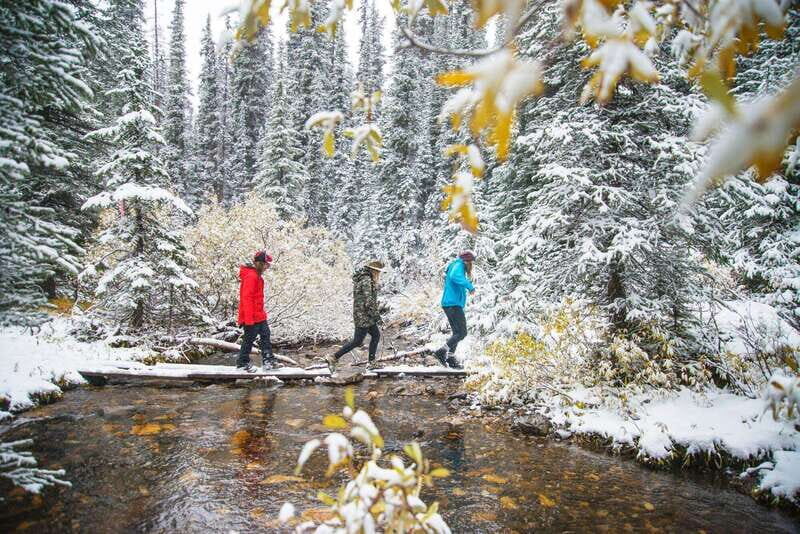 Canmore: Explore Winter Wildlife Tracks - 2hr Nature Walk - Why This Tour Is Worth Considering