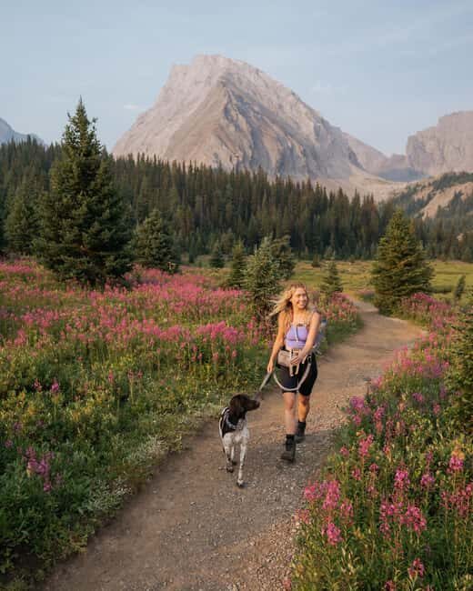 Canmore: Medicinal and Edible Plants, 2-hour Nature Walk - The Itinerary: What to Expect