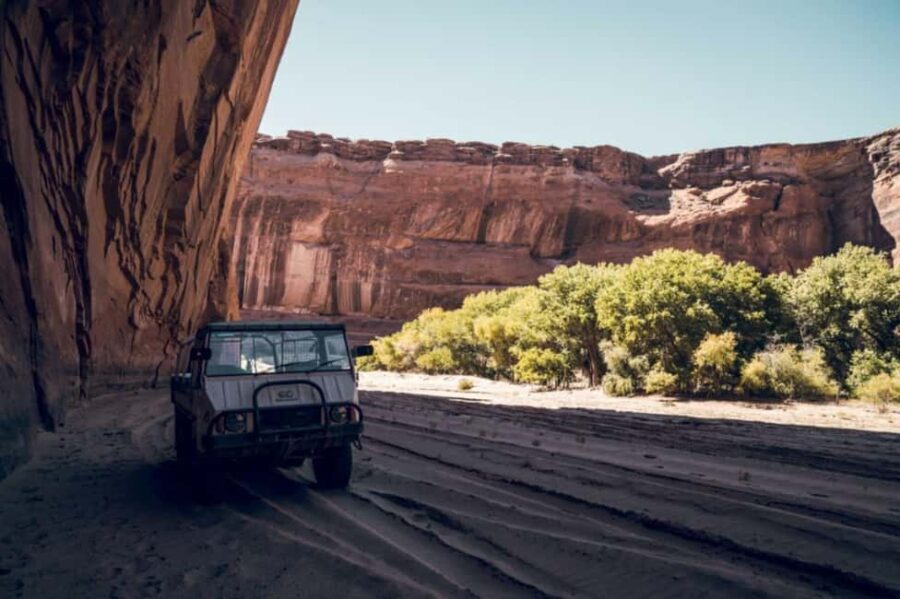 Canyon de Chelly: Spider Rock Rim Tour & Storytelling - What Makes This Tour Stand Out