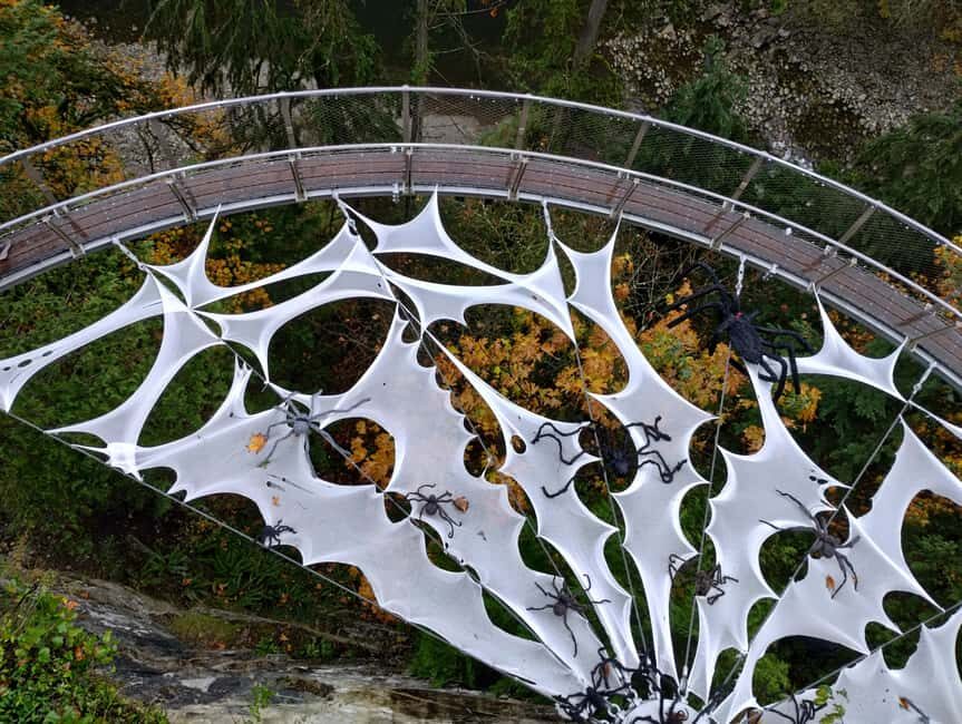 CAPILANO BR+GROUSE Mtn+STANLEY P+DAM+LAKE+HATCHERY/CAR/9in1 - Whats Included and Whats Not