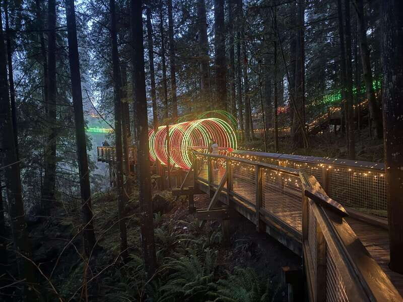 Capilano Suspension Bridge/Private/Small Group/By LUX CAR - What Makes This Tour Stand Out?