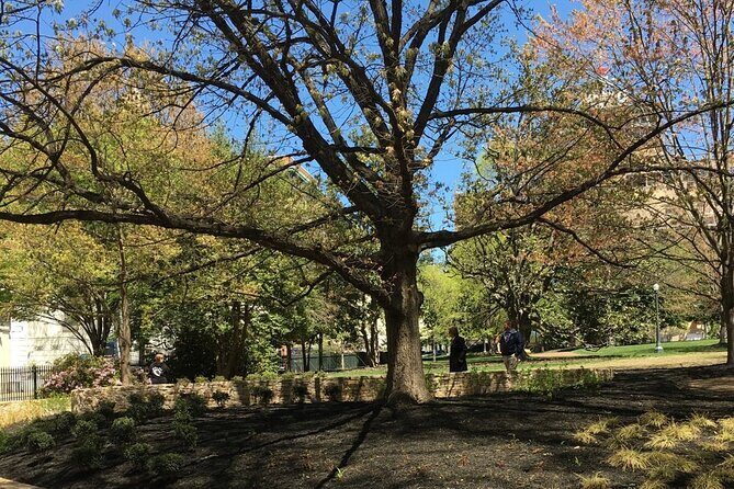 Capitol Steps and Stories Walking Tour - The Experience: What to Expect