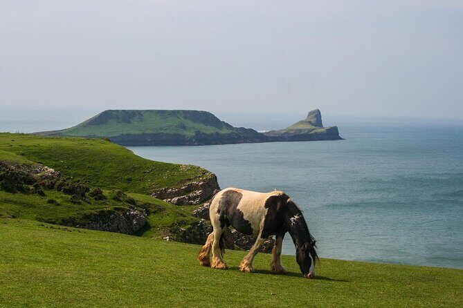 Cardiff: Gower Peninsula's Cliffs & Bays Scenic Day Tour - Mumbles Village: Coastal Charm and History