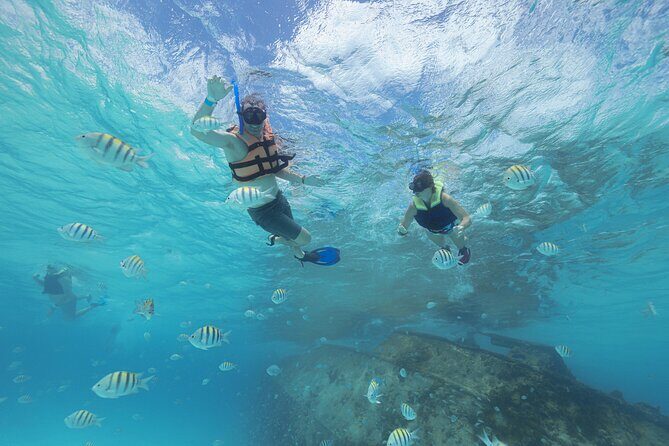 Caribbean Star Snorkeling Tour - Transportation and Group Dynamics