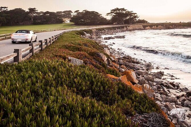 Carmel Drive Tour - Is the Price Worth It?