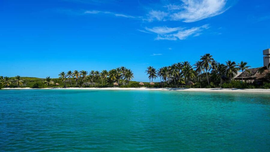 Catamarán Cruise to Isla Mujeres & Buffet Lunch - What to Expect from the Experience