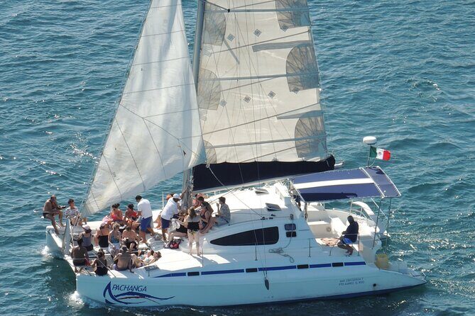 Catamaran to Isla Mujeres: Snorkel MUSA, Playa Norte & Buffet - Practical Details: What You Should Know