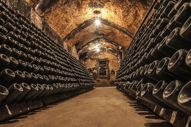 Cavas Freixenet Wine Tour from Mexico City - The Practicalities: What You Need to Know