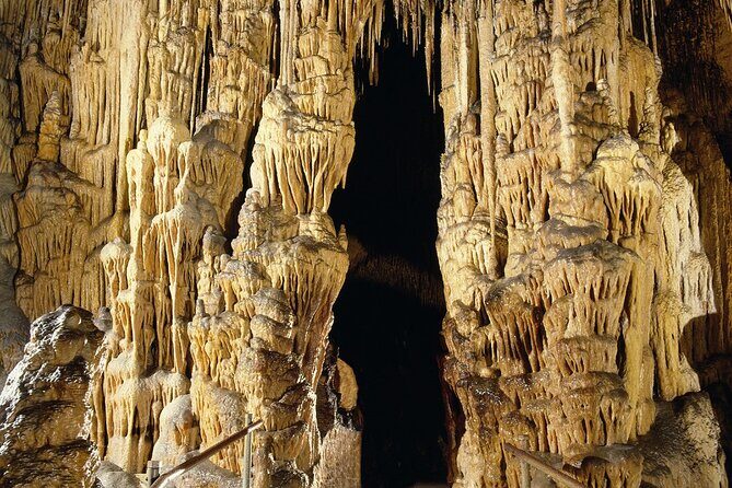 Caves Drach Tour & Return Transfer from Cala Dor-Calas Mallorca - Practical Tips for Travelers