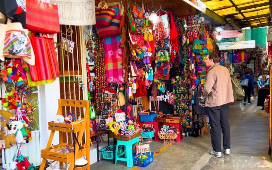 CDMX: Exotic Food and Market Tour - Itinerary Breakdown: What Makes Each Stop Special