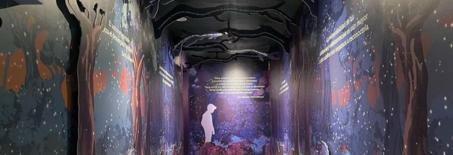 CDMX: Museum of Memory and Tolerance - Children in Silence (Admission ticket) - Who Should Visit?