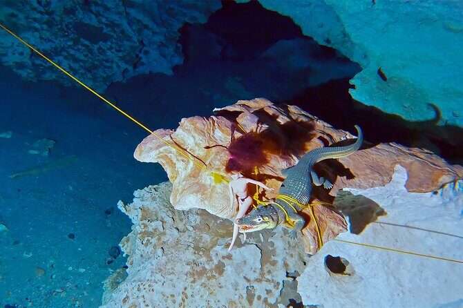 Cenote Dos Ojos Guided Scuba Diving - The Value: Whats Included and Whats Not