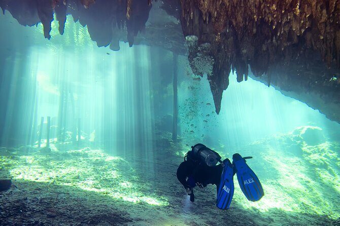 Cenote Dreamgate Guided Scuba Diving - Authentic Experiences and Traveler Feedback