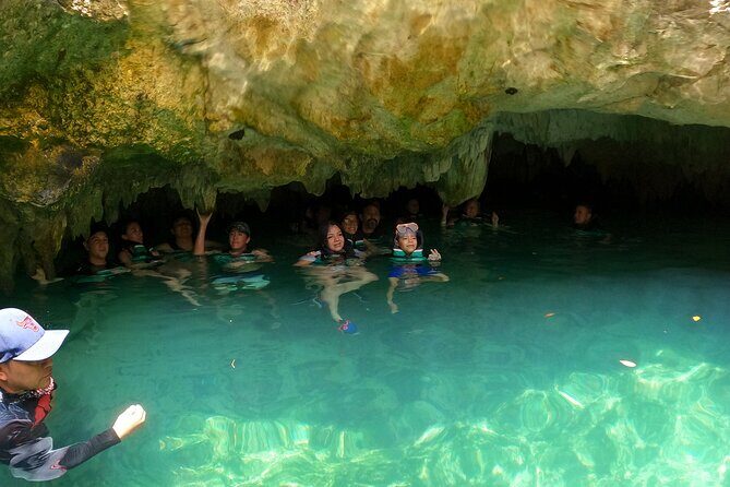 Cenotes Casa Tortuga Guide Tour with Ticket - An In-Depth Look at the Cenotes Casa Tortuga Tour