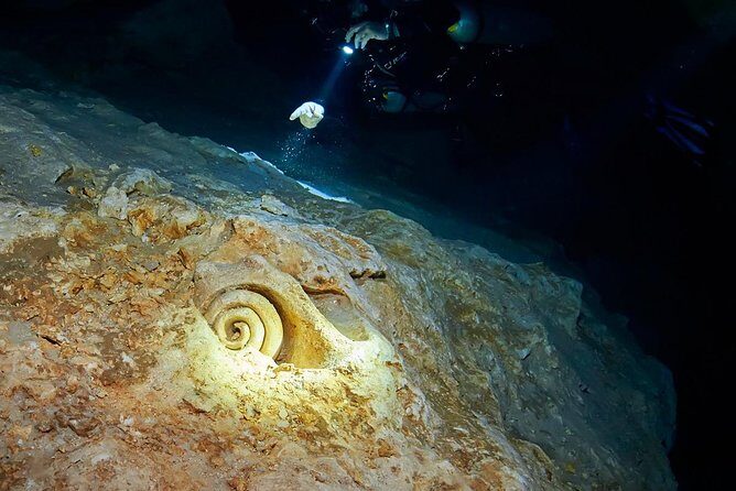 Cenotes diving from Riviera Maya - Why This Tour Offers Real Value