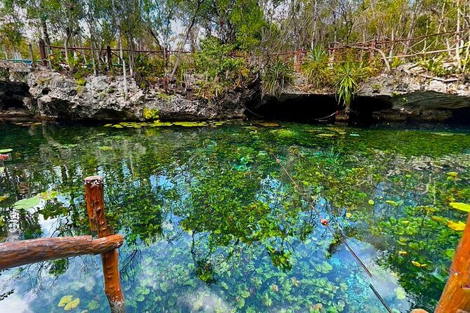 Cenotes El Pit and Nicte Ha Guided Scuba Diving - Who Should Consider This Tour?