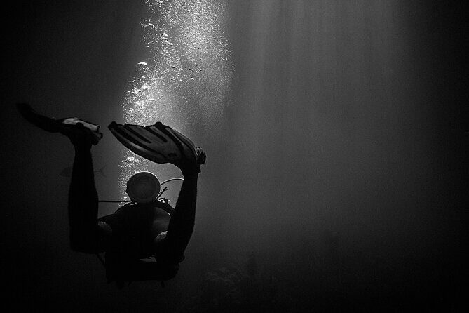 Certified Beach Night Dive - Is It Worth the Price?