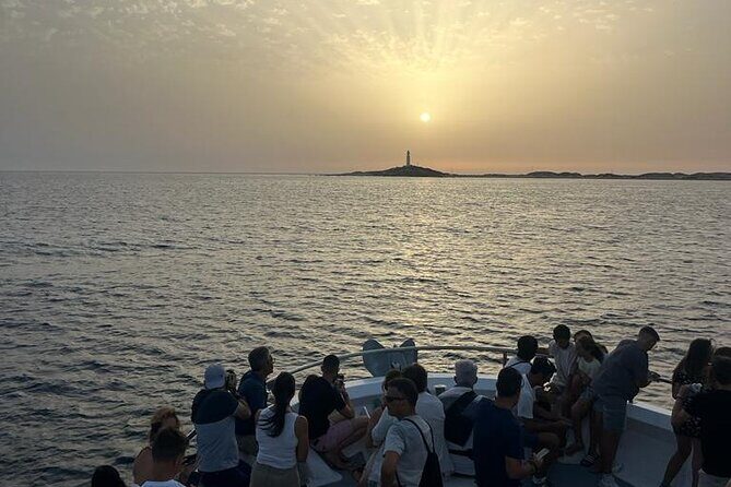 Cetacean Watching Tour - Practical Tips for Booking and Enjoying the Tour