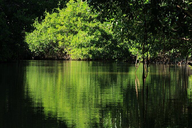 Chacahua Afternoon Journey - Who Should Consider This Tour?