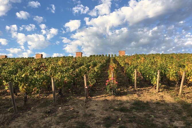 Champagne & Loire Valley Small Group Double Wine Day Tours - Final Thoughts: Who Will Love This Tour?