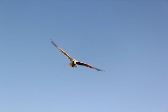 Chania Pink Beaches Private Tour: Elafonisi & Falassarna - Final Thoughts