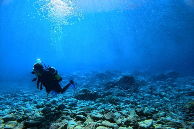 Chania Scuba Diving | Fun Dives | Certified Divers - Who This Tour Is Best For