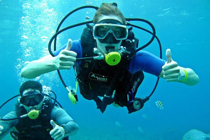 Chankanaab Cozumel Scuba Diving - Why This Tour Might Be Perfect for You
