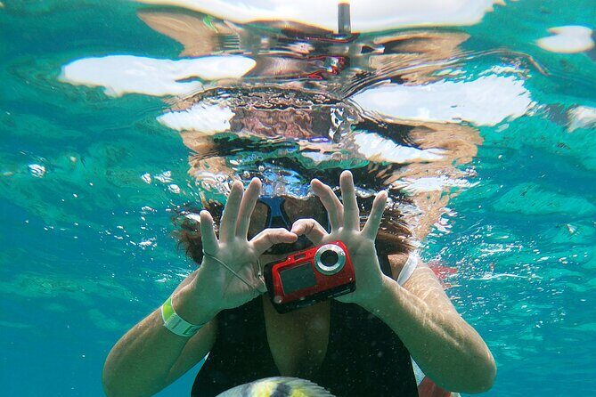 Chankanaab Park Admission + Welcome drink + Snorkeling - In-Depth Look at the Itinerary