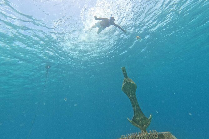 Chankanaab Park entrance ticket with snorkeling and buffet included - The Experience with Caribe Paradise Divers