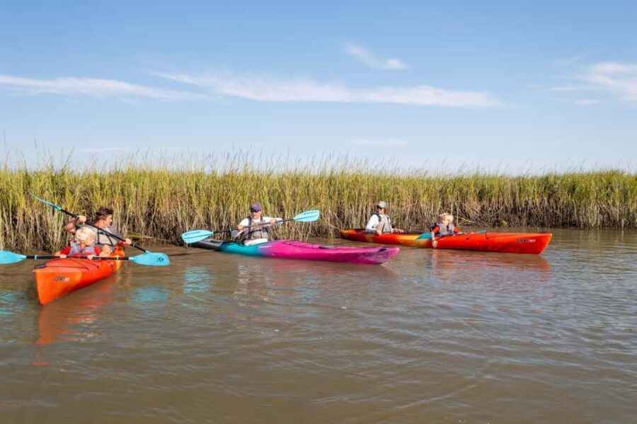 Charleston: Folly River Sunset Kayak Dolphin Safari - Discovering the Folly River: What to Expect