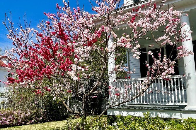 Charleston History Tour / - What Travelers Say