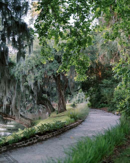 Charleston: Magnolia Plantation & Gardens Guided Tour - Authentic Experiences and Practical Tips
