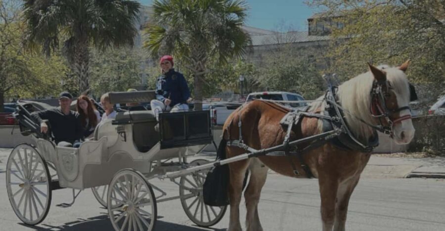 Charleston, SC: Private Evening Horse & Carriage Tour - Why This Tour Works