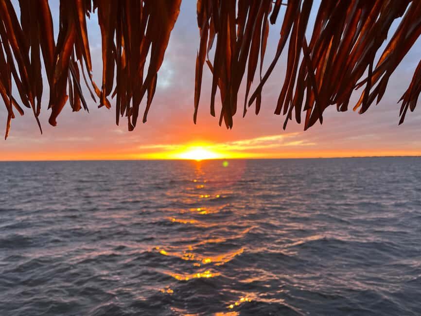 Charlotte Harbor: "The Oasis" Tiki Boat Sunset Cruise - What to Expect from the Tiki Boat Sunset Cruise