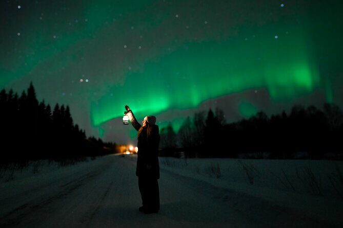 Chasing the auroras guaranteed tour with professional photography - What Travelers Say