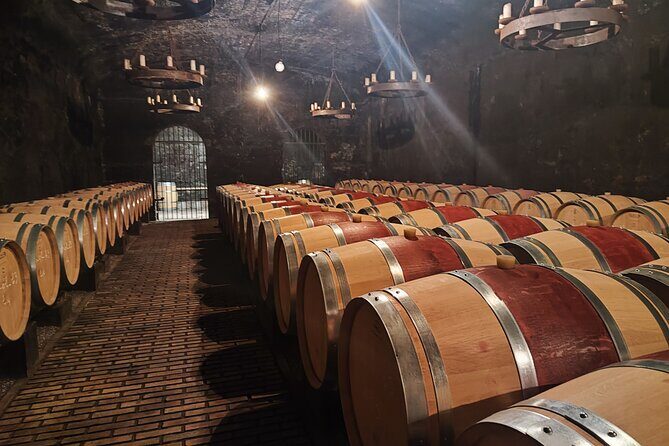 Chateauneuf du Pape and Luberon vineyard tour from Avignon - Who Will Appreciate This Tour?